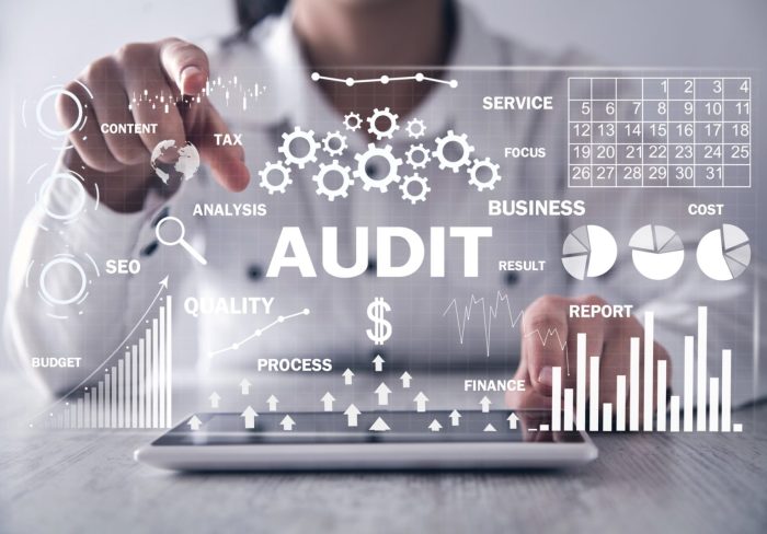 Auditing for financial performance and health